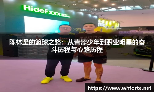 BG大游官网