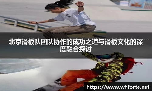 3377体育app